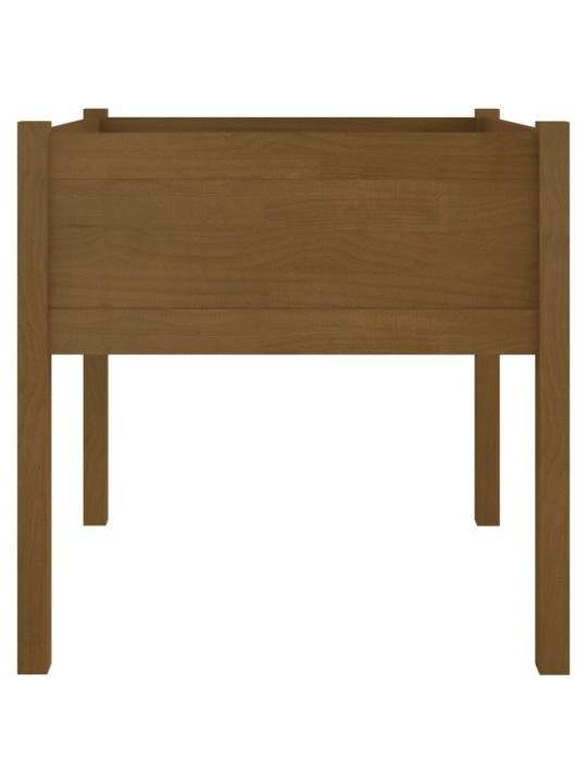 Zahradní truhlíky 2 ks medově hnědé 70x70x70cm masivní borovice