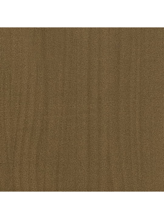Zahradní truhlíky 2 ks medově hnědé 70x70x70cm masivní borovice