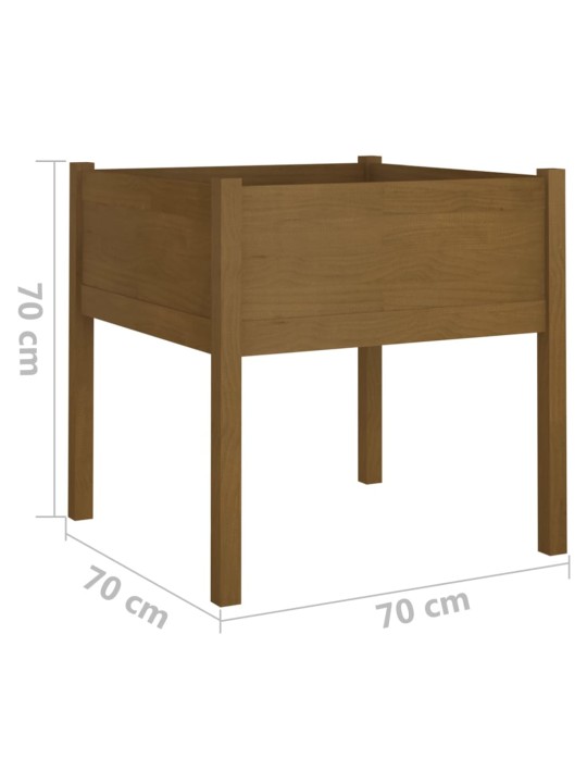 Zahradní truhlíky 2 ks medově hnědé 70x70x70cm masivní borovice