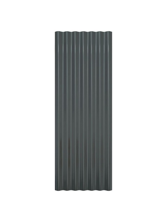 Střešní panely 12 ks práškově lakovaná ocel antracit 100x36 cm