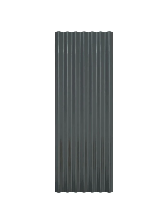 Střešní panely 12 ks práškově lakovaná ocel antracit 100x36 cm