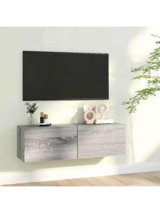 TV skříňka šedá sonoma 100 x 30 x 30 cm kompozitní dřevo