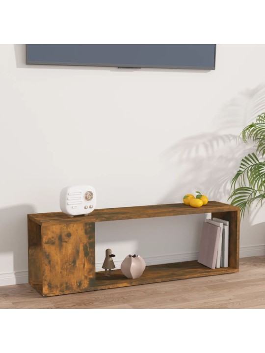 TV skříňka kouřový dub 100 x 24 x 32 cm kompozitní dřevo