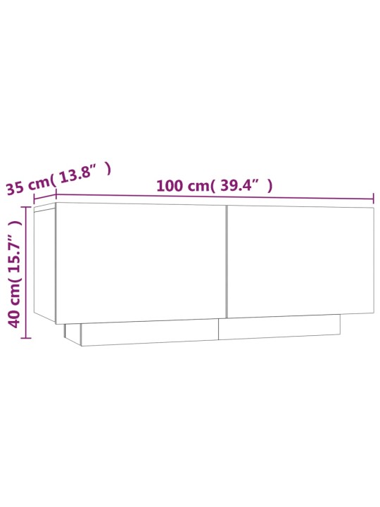 TV skříňka kouřový dub 100 x 35 x 40 cm kompozitní dřevo