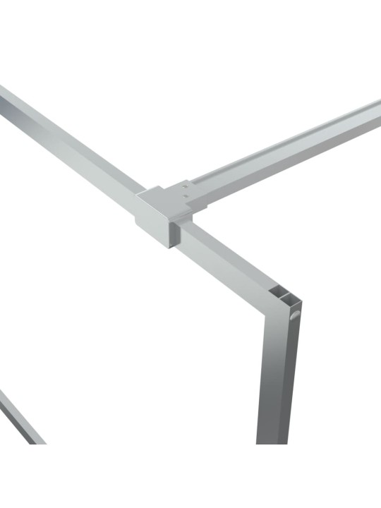 Sprchová zástěna walk-in stříbrná 80 x 195 cm čiré esg sklo