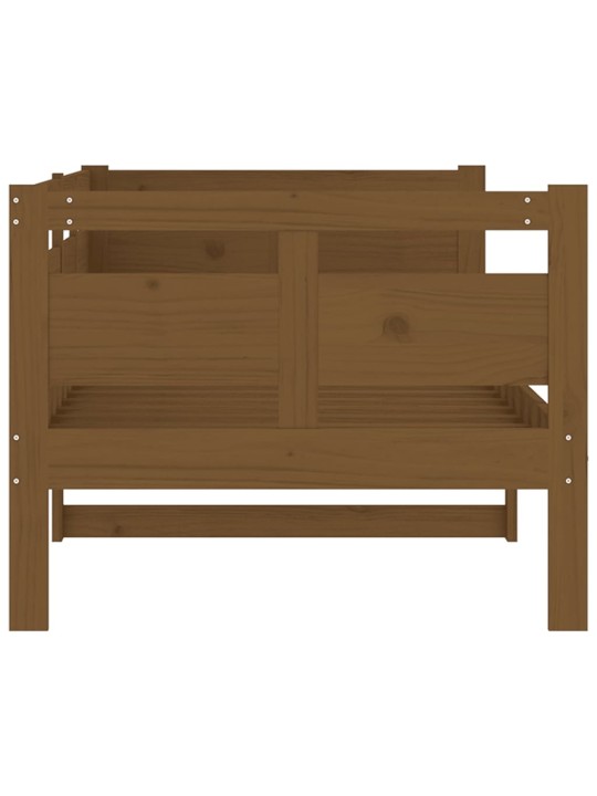 Válenda medově hnědá masivní borové dřevo 80 x 200 cm
