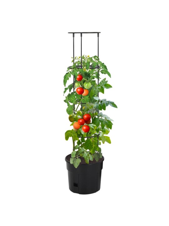 Truhlík na pěstování rajčat antracit Ø 29,5x115 cm polypropylen