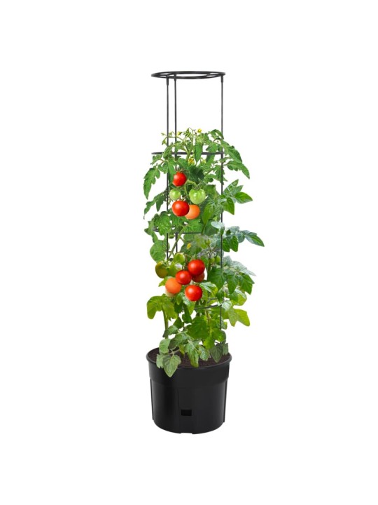 Truhlík na pěstování rajčat antracit Ø 39 x 150 cm polypropylen