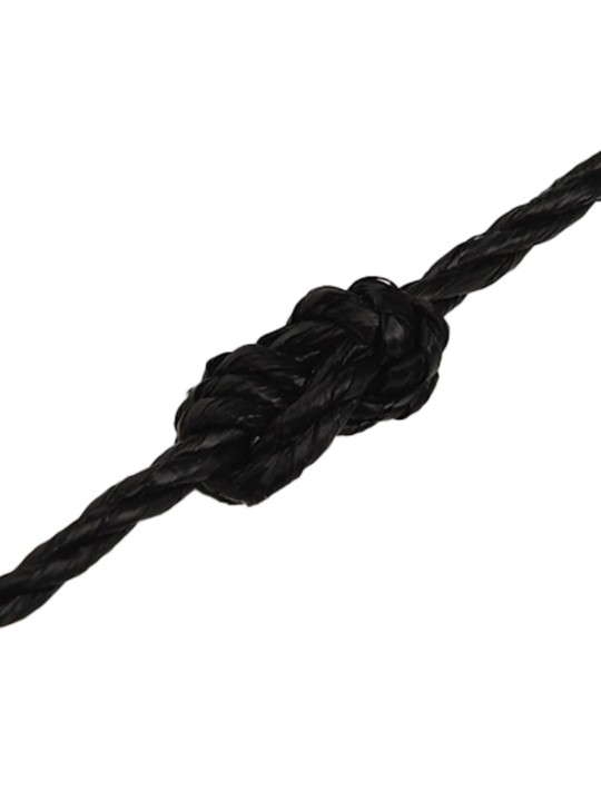Pracovní lano černé 3 mm 25 m polypropylen