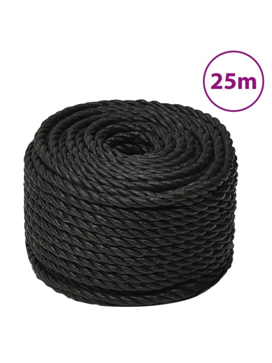 Pracovní lano černé 10 mm 25 m polypropylen