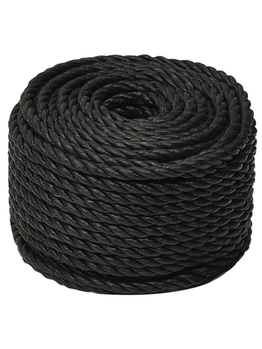Pracovní lano černé 10 mm 25 m polypropylen