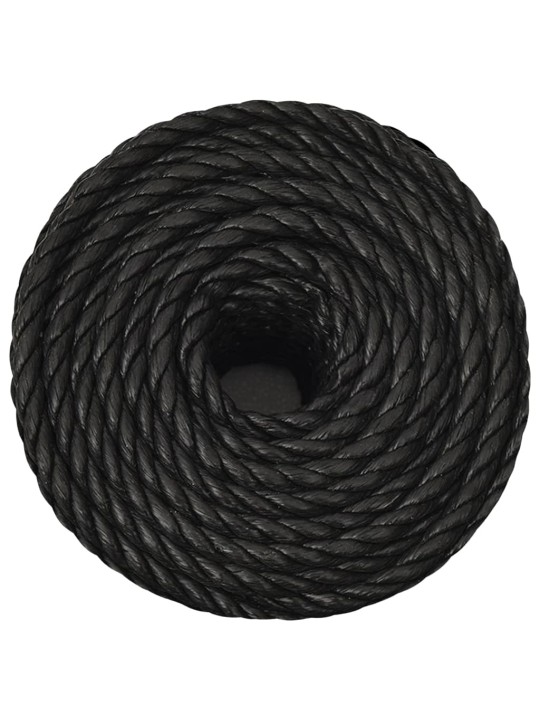 Pracovní lano černé 10 mm 25 m polypropylen