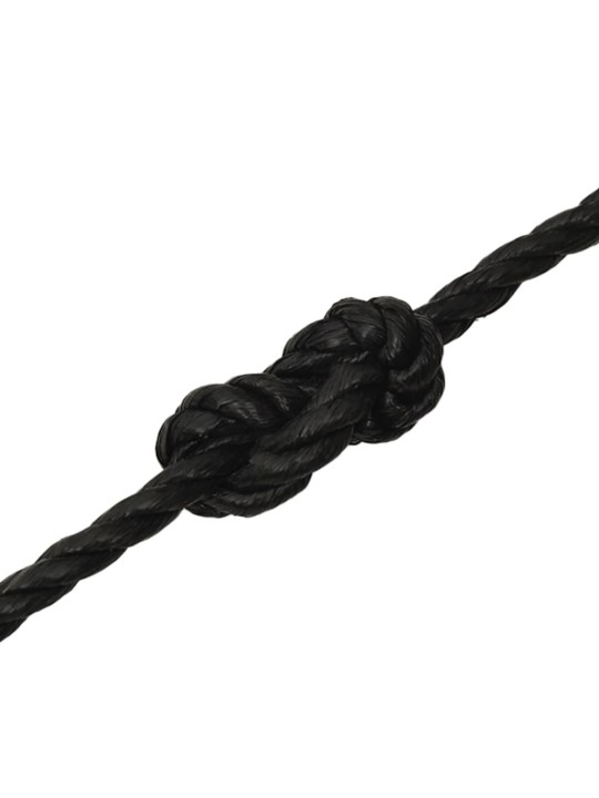 Pracovní lano černé 10 mm 25 m polypropylen