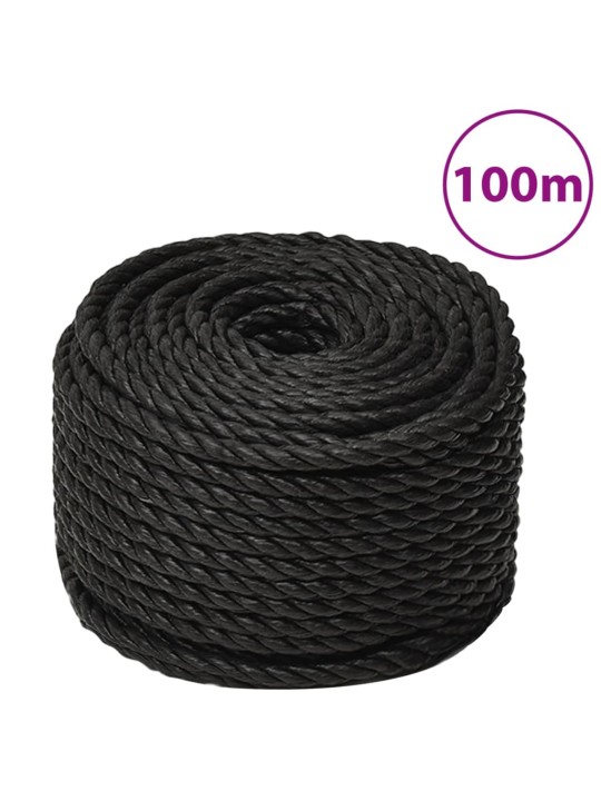 Pracovní lano černé 10 mm 100 m polypropylen