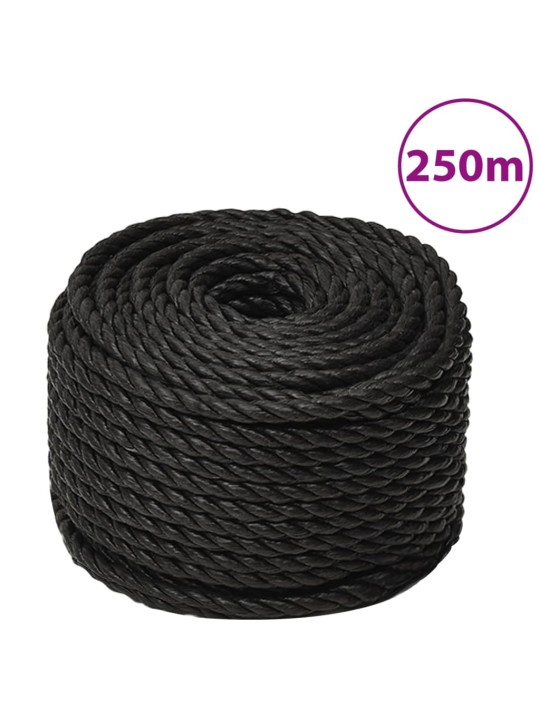 Pracovní lano černé 10 mm 250 m polypropylen
