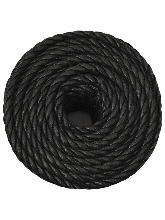 Pracovní lano černé 10 mm 250 m polypropylen