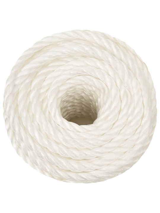 Pracovní lano bílá 10 mm 25 m polypropylen