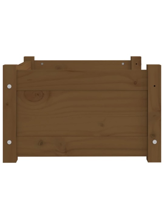 Pelíšek pro psy medově hnědý 55,5x45,5x28 cm masivní borovice