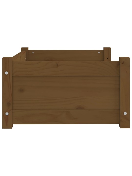 Pelíšek pro psy medově hnědý 65,5x50,5x28 cm masivní borovice