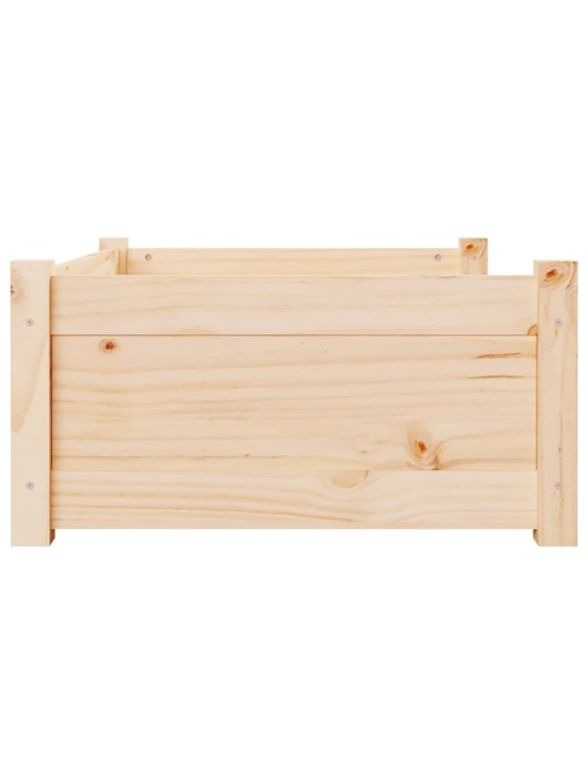 Pelíšek pro psy 75,5 x 55,5 x 28 cm masivní borovice
