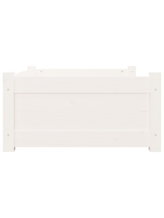 Pelíšek pro psy bílý 75,5 x 55,5 x 28 cm masivní borovice
