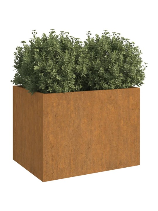 Truhlík 62x47x46 cm cortenová ocel