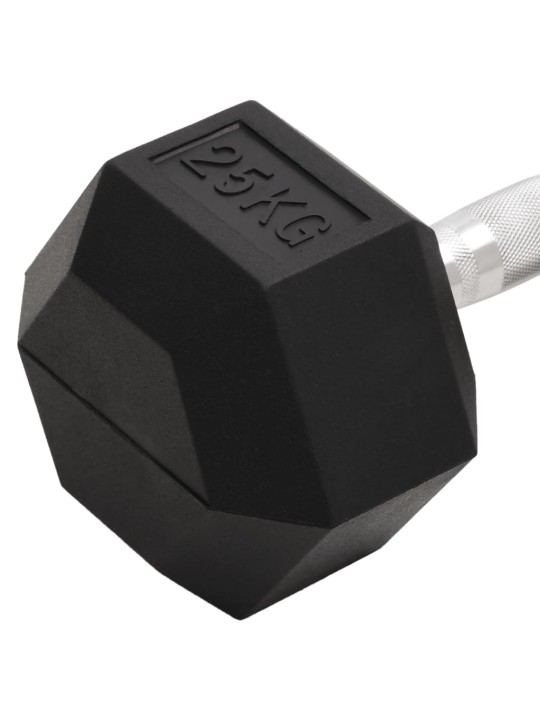 Jednoruční činka 25 kg litina