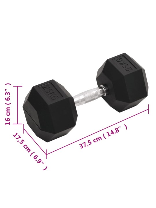 Jednoruční činka 25 kg litina