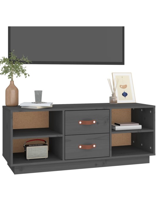 TV skříňka šedá 100 x 34 x 40 cm masivní borové dřevo