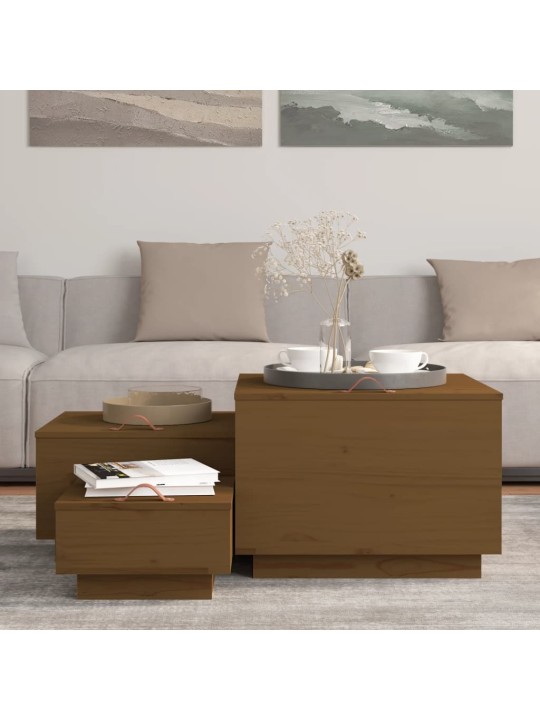 Úložné boxy s víkem 3 ks medově hnědé masivní borové dřevo