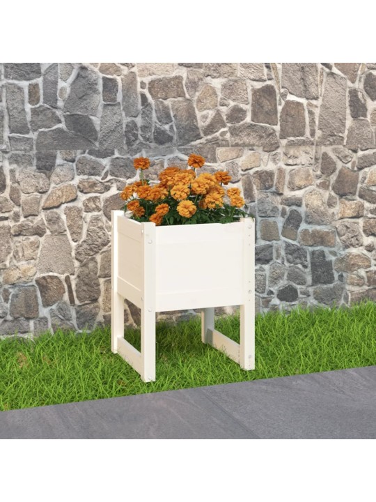 Truhlík bílý 40 x 40 x 52,5 cm masivní borové dřevo