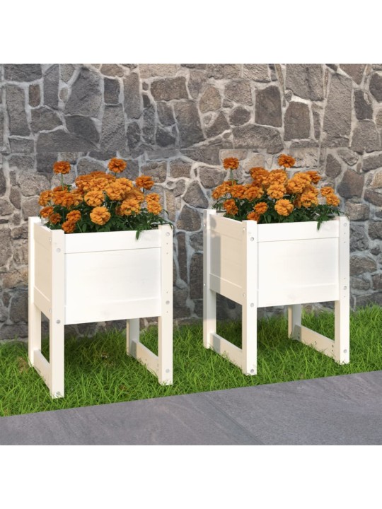 Truhlíky 2 ks bílé 40 x 40 x 52,5 cm masivní borové dřevo