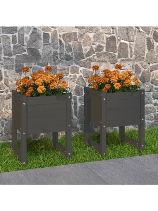 Truhlíky 2 ks Šedá 40 x 40 x 52,5 cm masivní borové dřevo