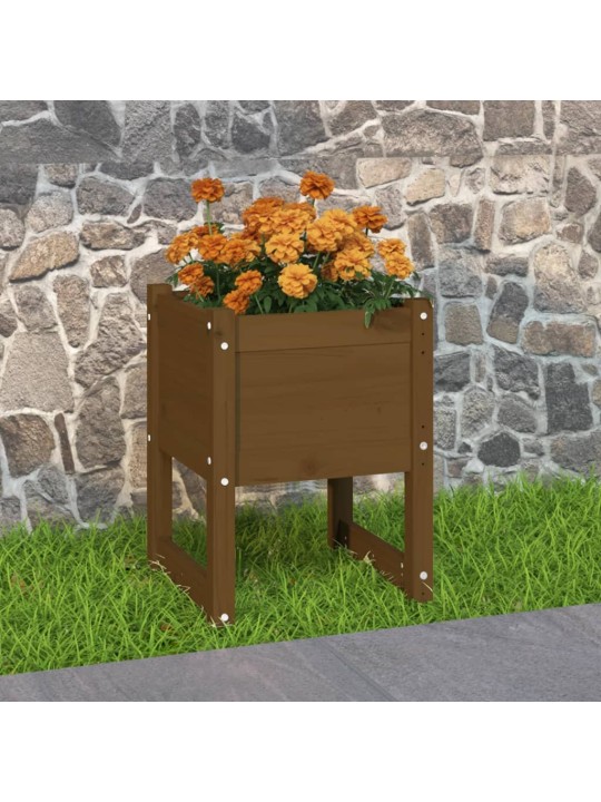 Truhlík medově hnědý 40x40x52,5cm masivní borové dřevo