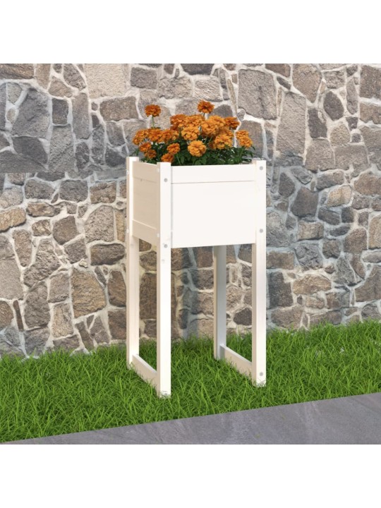 Truhlík bílý 40x40x81 cm masivní borové dřevo
