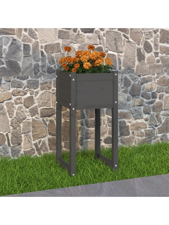 Truhlík šedý 40 x 40 x 81 cm masivní borové dřevo