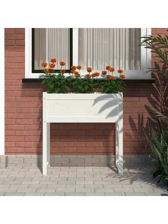 Truhlík bílý 78x40x81 cm masivní borové dřevo