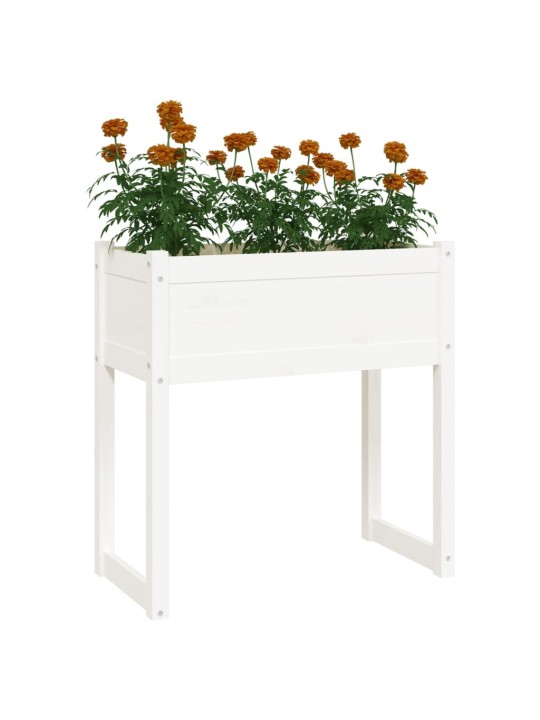 Truhlík bílý 78x40x81 cm masivní borové dřevo