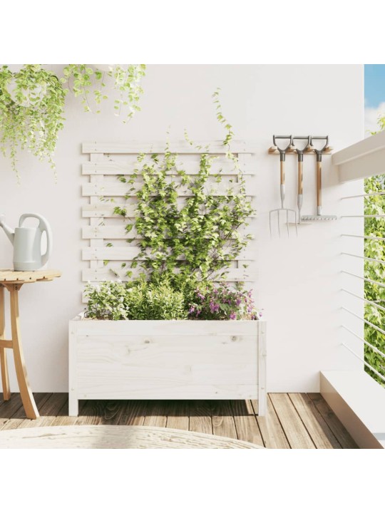 Zahradní truhlík s mřížkou bílý 79x39,5x114 cm masivní borovice