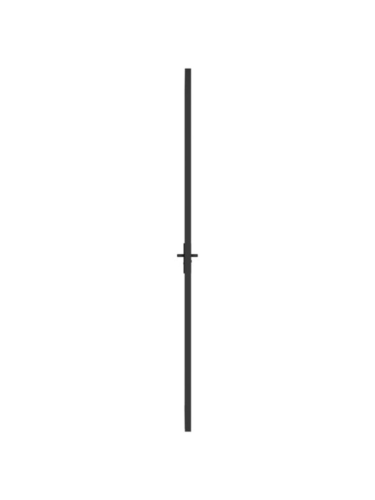 Interiérové dveře 93 x 201,5 cm černé ESG sklo a hliník