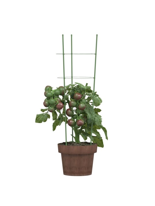 Opory pro zahradní rostliny se 3 kroužky 5 ks zelené 60 cm ocel