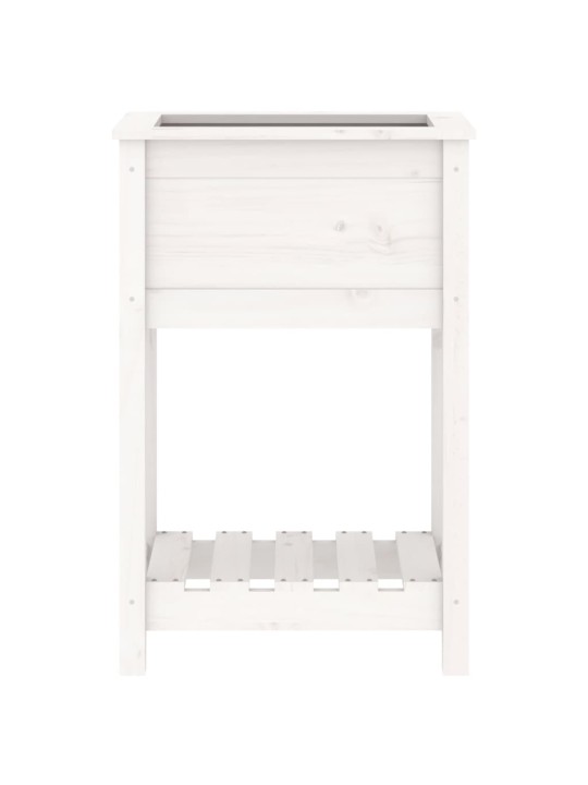 Truhlík s policí bílý 54 x 34,5 x 81 cm masivní borové dřevo