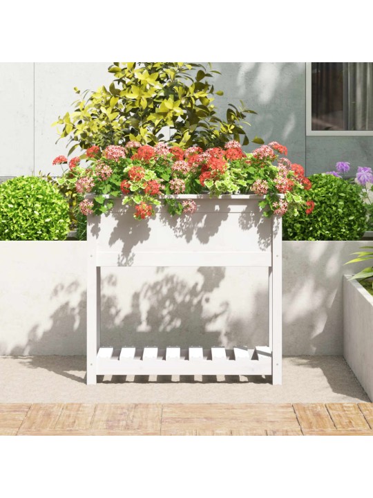 Truhlík s policí bílý 82,5 x 34,5 x 81 cm masivní borové dřevo