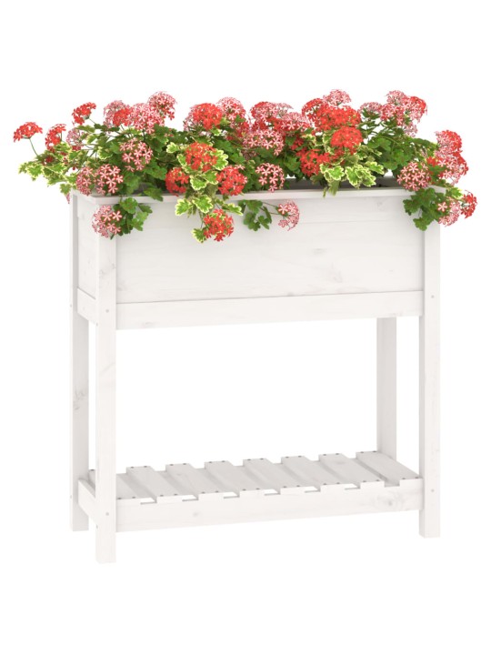Truhlík s policí bílý 82,5 x 34,5 x 81 cm masivní borové dřevo