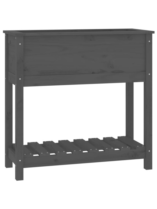 Truhlík s policí šedý 82,5 x 34,5 x 81 cm masivní borové dřevo