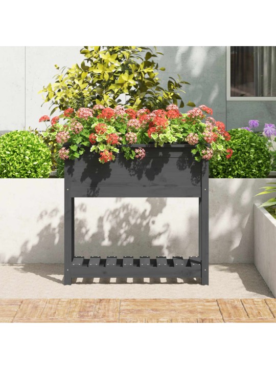 Truhlík s policí šedý 82,5 x 34,5 x 81 cm masivní borové dřevo