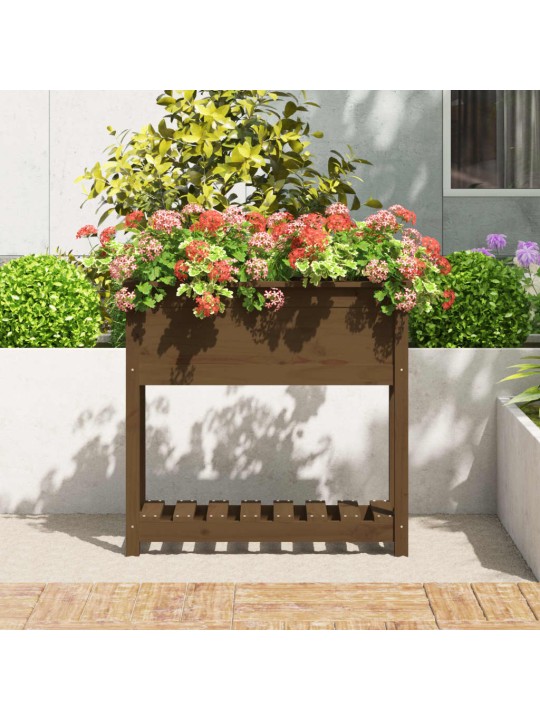 Truhlík s policí medově hnědý 82,5x34,5x81 cm masivní borovice
