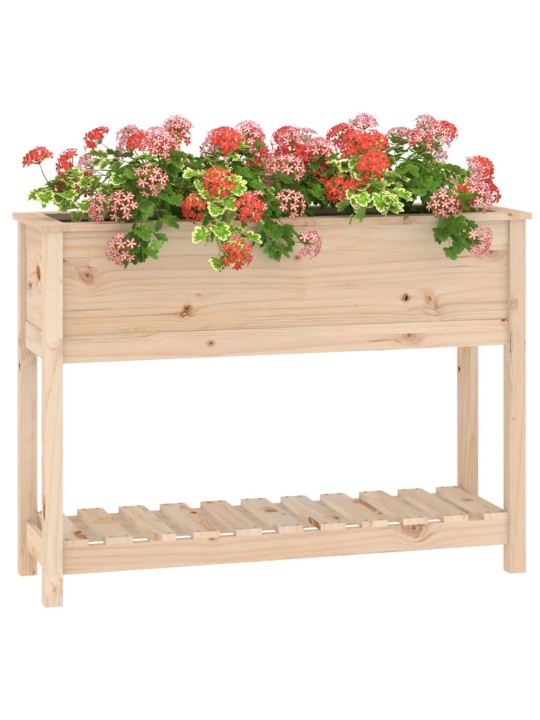 Truhlík s policí 111,5 x 34,5 x 81 cm masivní borové dřevo