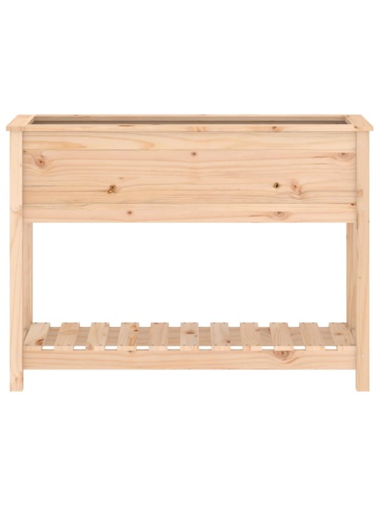 Truhlík s policí 111,5 x 34,5 x 81 cm masivní borové dřevo