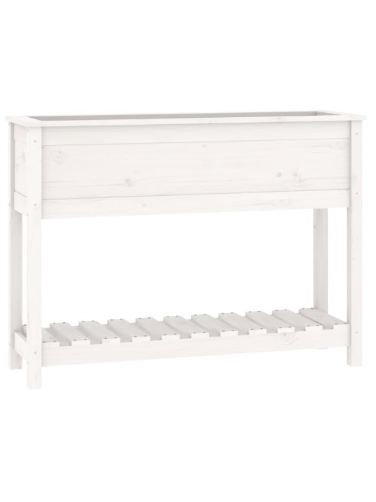 Truhlík s policí bílý 111,5 x 34,5 x 81 cm masivní borové dřevo